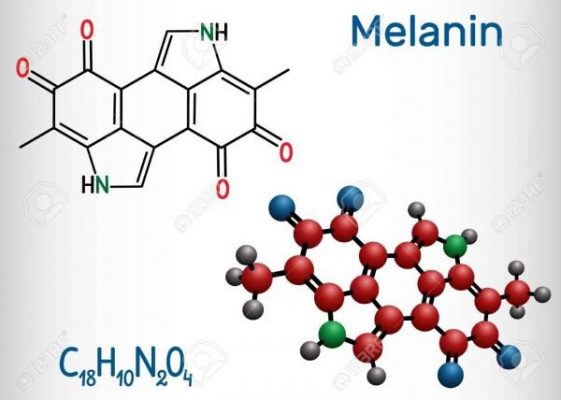 melanin gây nám