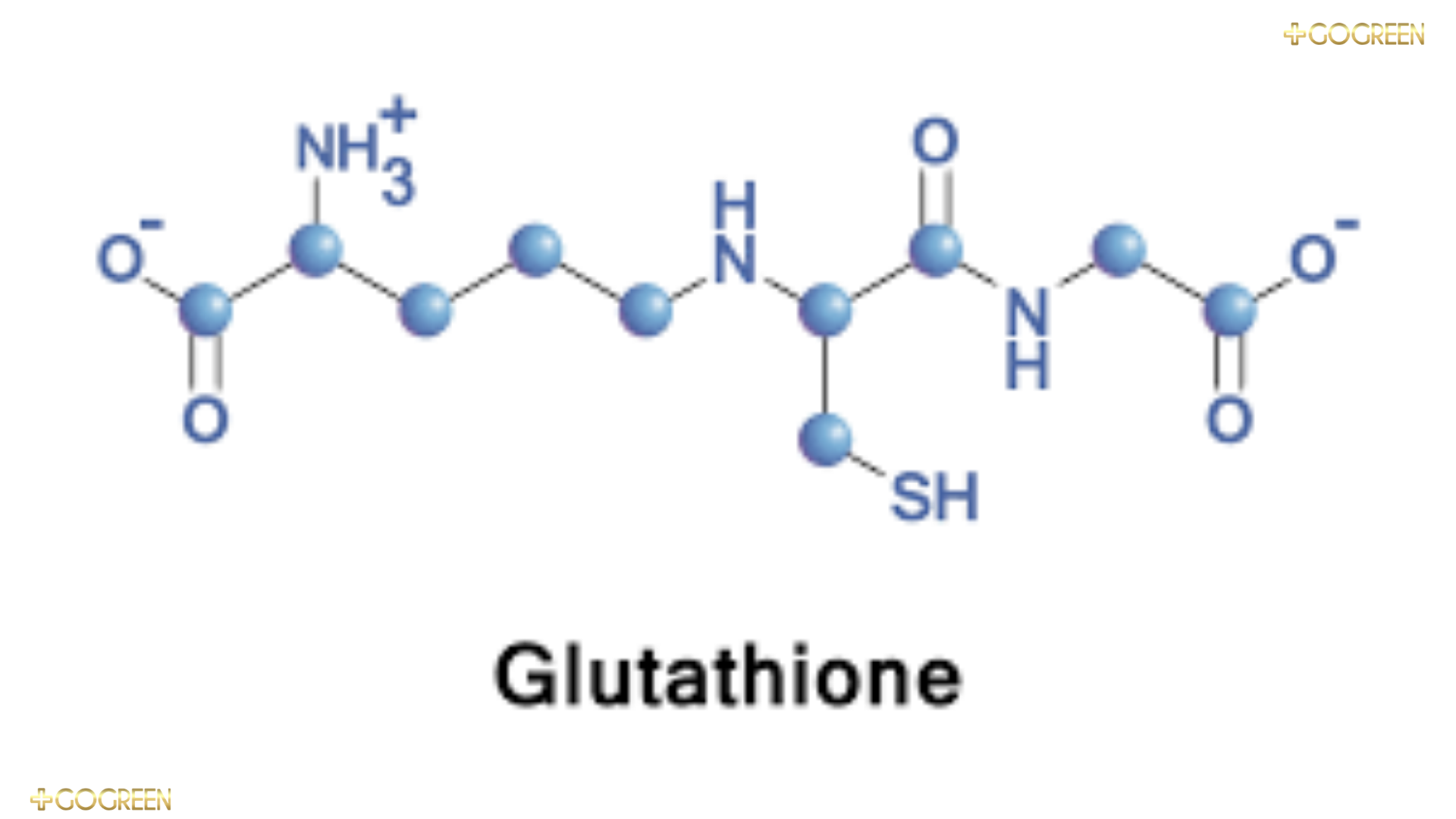 Cấu tạo của Glutathione